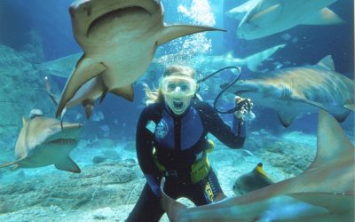 Top 3 reasons why our Cheap Sunshine Coast Accommodation is in a great location