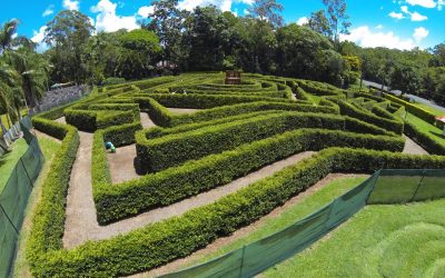 5 Must-Visit Attractions Near Sunshine Coast Motor Lodge