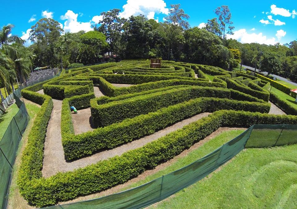 Find Your Way Through Bellingham Maze, A Fun Day Out for the Family