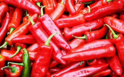 Don’t Miss Hot 91.1 Ignite Chilli Festival Near Sunshine Coast Motor Lodge