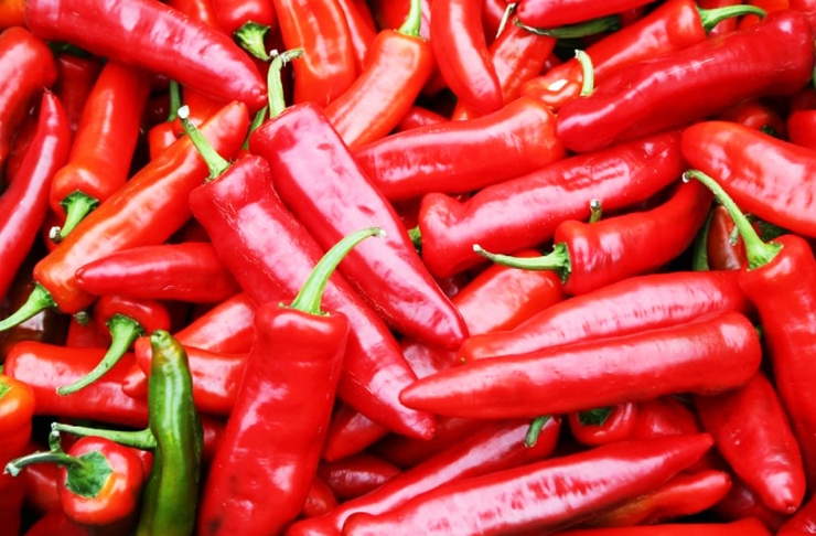 Chilli Festival Metropolist