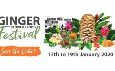 January 2020 Events Near Our Cheap Sunshine Coast Accommodation