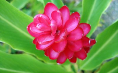 Natural Wonders of the Sunshine Coast Region