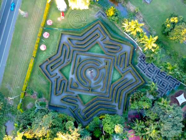 Hedge Maze Photo From Bellingham Maze Website