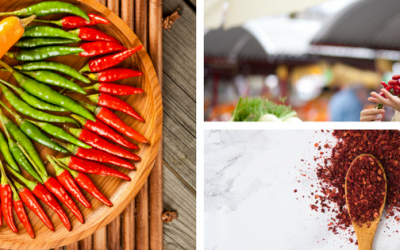 Ignite Your Taste Buds at the Ignite Chilli Festival 2017