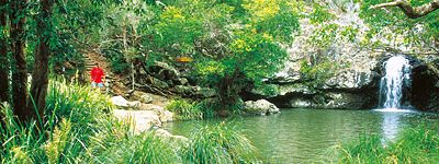 Romantic ways to celebrate Valentine’s Day on the Sunshine Coast