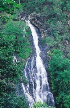 Swim Under the Waterfall at Kondalilla Falls