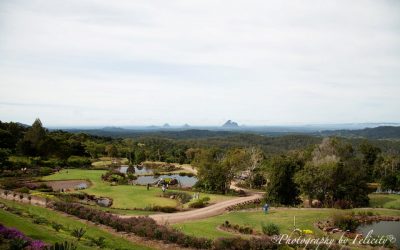 Get to Know the Jewel of Maleny