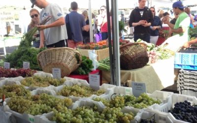 Best Markets on the Sunshine Coast