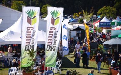 Whatâ€™s on in the Sunshine Coast â€“ July 2014
