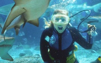 Top 10 Things to do on the Sunshine Coast
