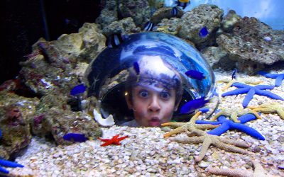 Sea Life Mooloolaba