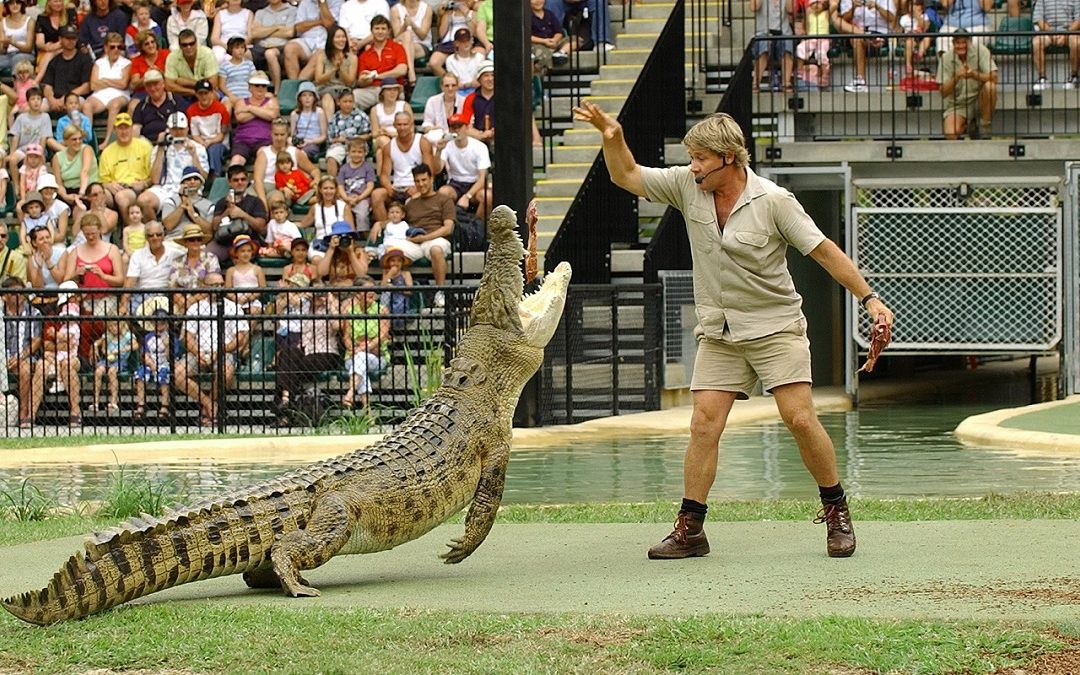 Steve Irwin Photo From Australia Zoo