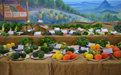 Don’t Miss the Sunshine Coast Agricultural Show this June