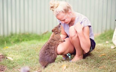 Exciting Things to Do on the Sunshine Coast Over Father’s Day