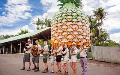 Be Near Valentine’s Day Attractions with Our Woombye Accommodation