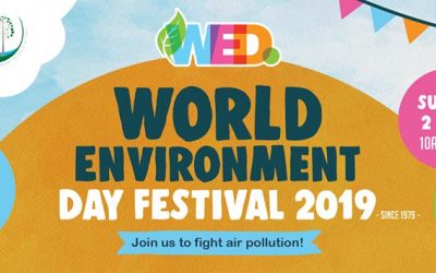 Attend World Environment Day Festival Near Our Cheap Sunshine Coast Accommodation
