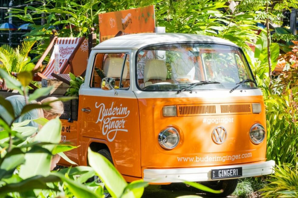 Have a Happy Summer Holiday on the Sunshine Coast & Enjoy These Local