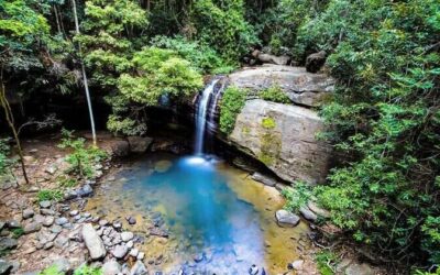 10 Best Places in Sunshine Coast for Nature Lovers