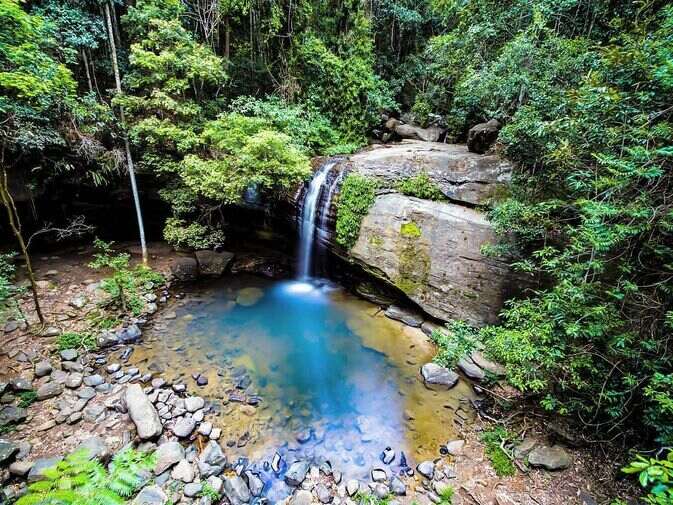 10 Best Places in Sunshine Coast for Nature Lovers