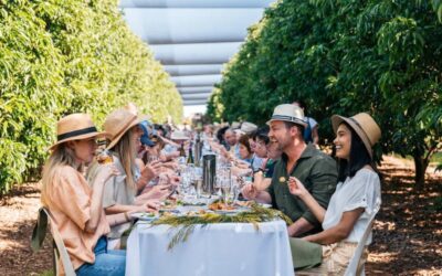 Top Things to Do in Sunshine Coast: 6 Local Picks