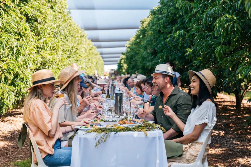 Top Things to Do in Sunshine Coast: 6 Local Picks