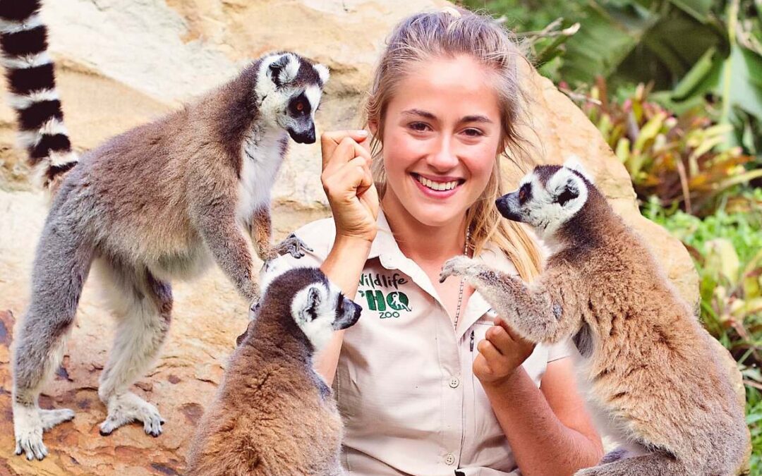 Best Zoos on the Sunshine Coast