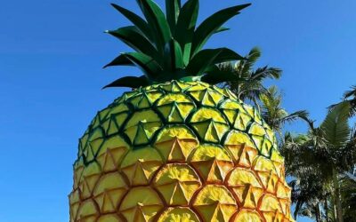 The Big Pineapple in 2026: the train, TreeTop Challenge and Wildlife HQ from Woombye