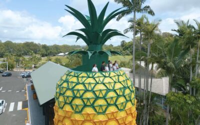Free around Woombye: rail trails, lookouts and the big things
